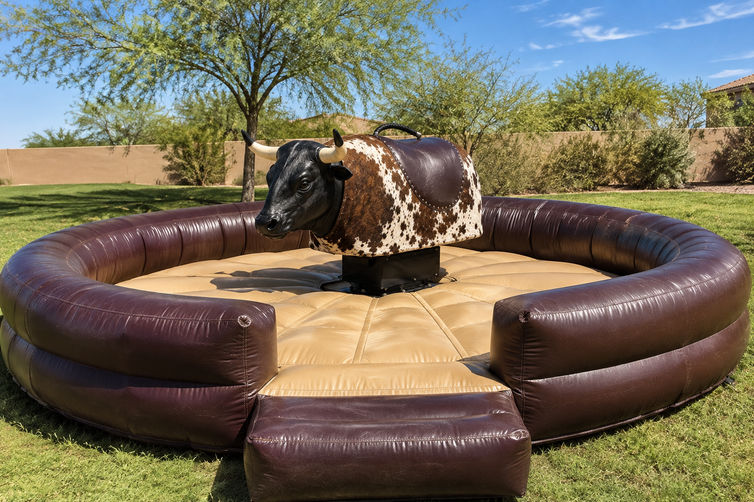 Mechanical Bull